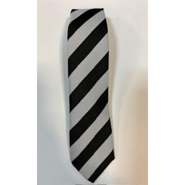 Coalsnaughton Primary Tie